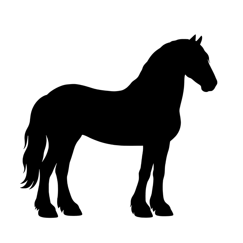 Friesian Horse – Single Motif Sticker