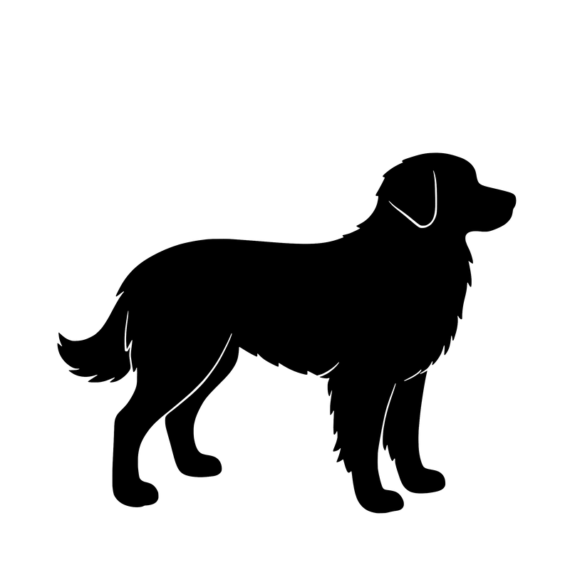 Nova Scotia Duck Tolling Retriever – Single Motif Sticker