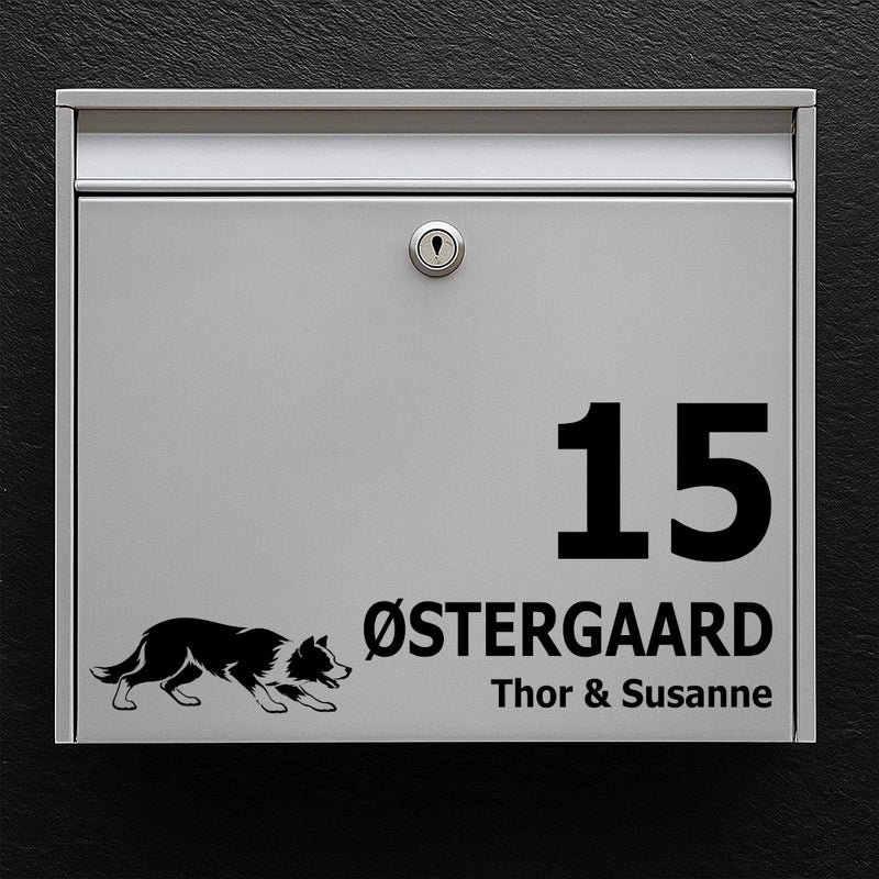 Mailbox sticker with Short-Haired Border Collie (herding stance)
