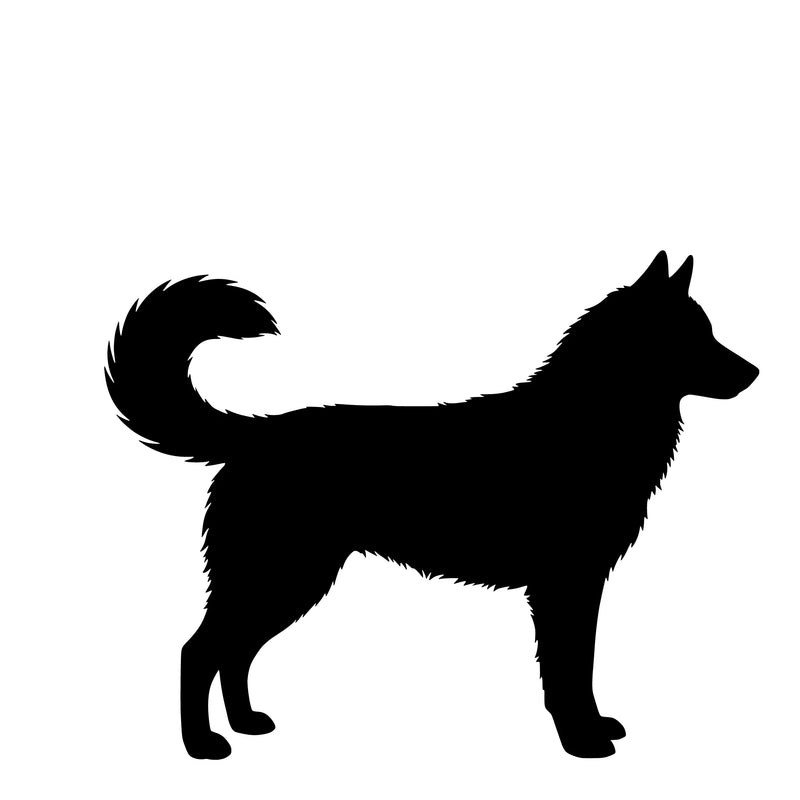 Siberian Husky – Single Motif Sticker