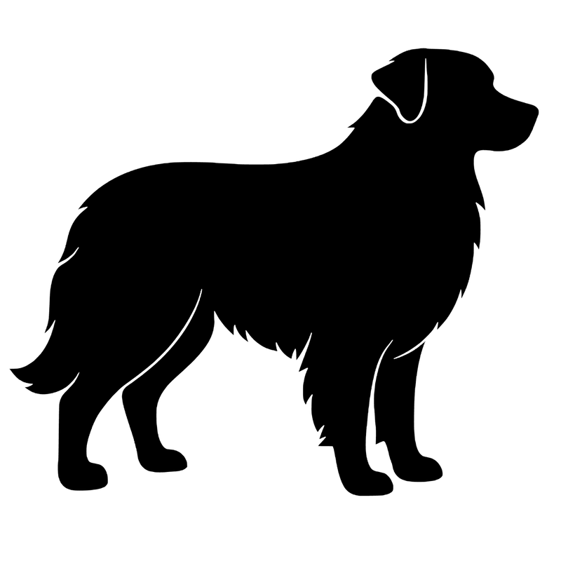Australian Shepherd – Single Motif Sticker