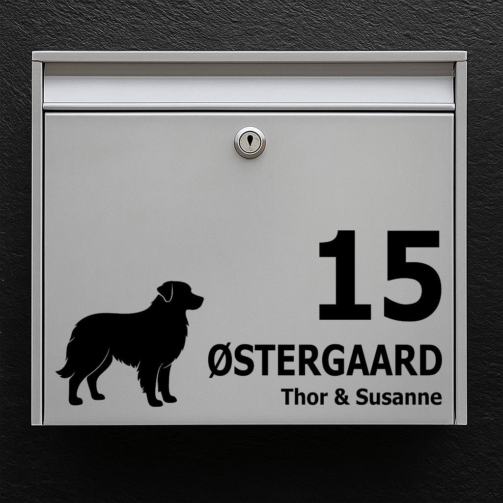 Mailbox sticker with shepherd dog (Australian Shepherd) – space for name and house number – robust