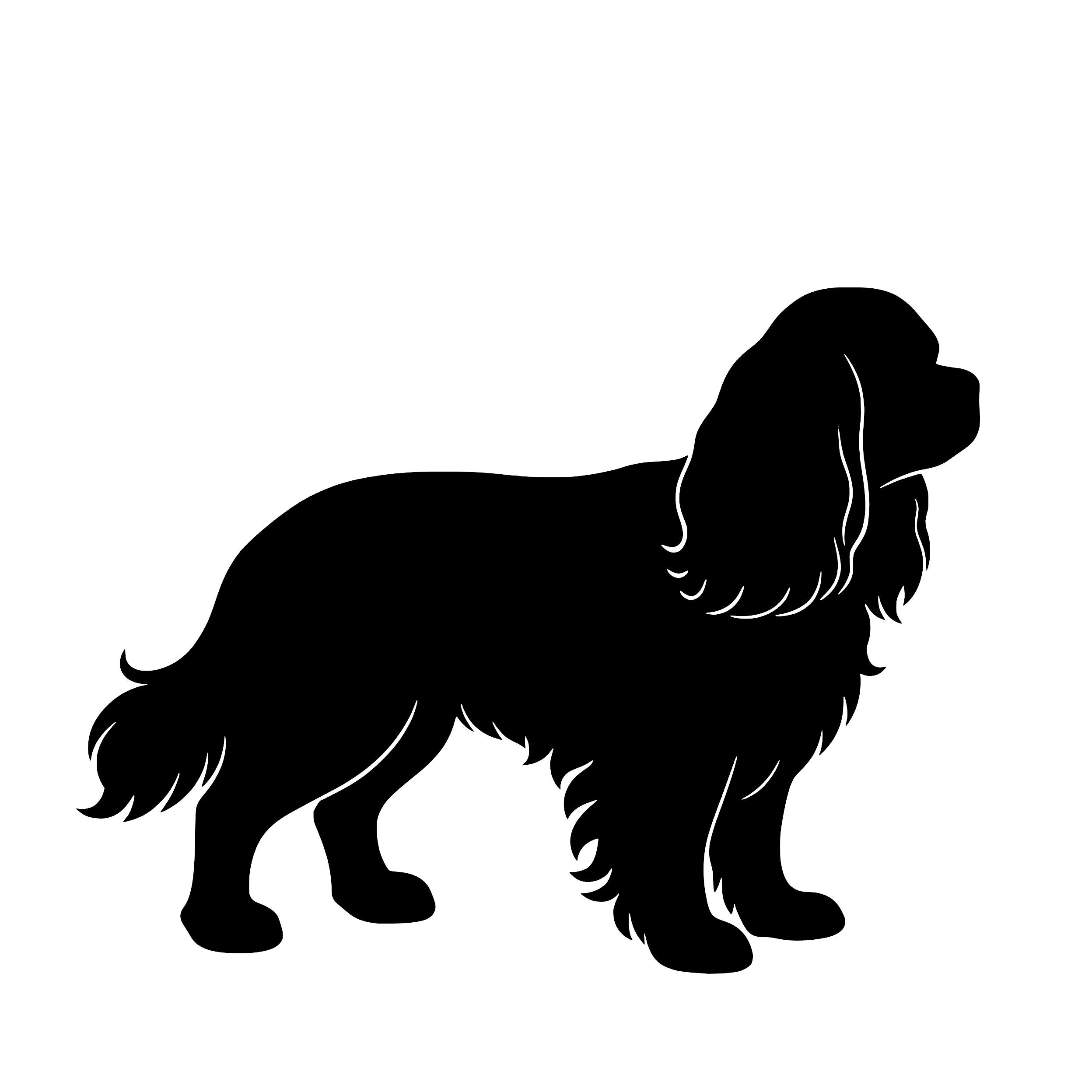 Cavalier King Charles Spaniel – Single Motif Sticker