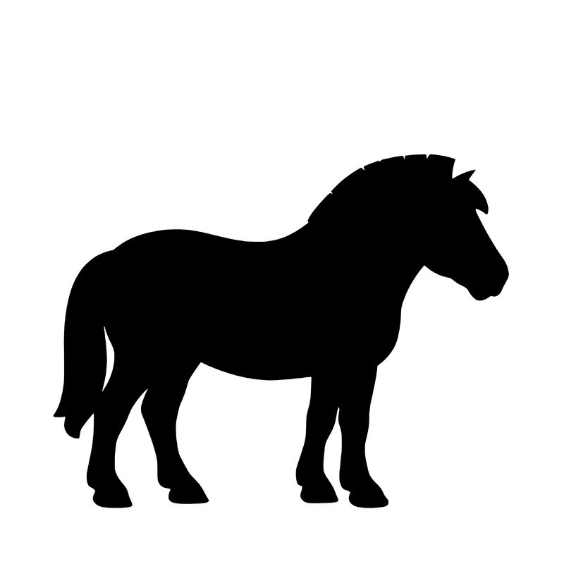Fjord Horse – Single Motif Sticker