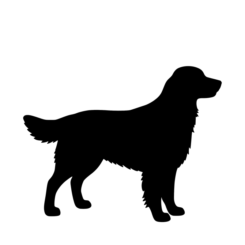 Golden Retriever– Single Motif Sticker
