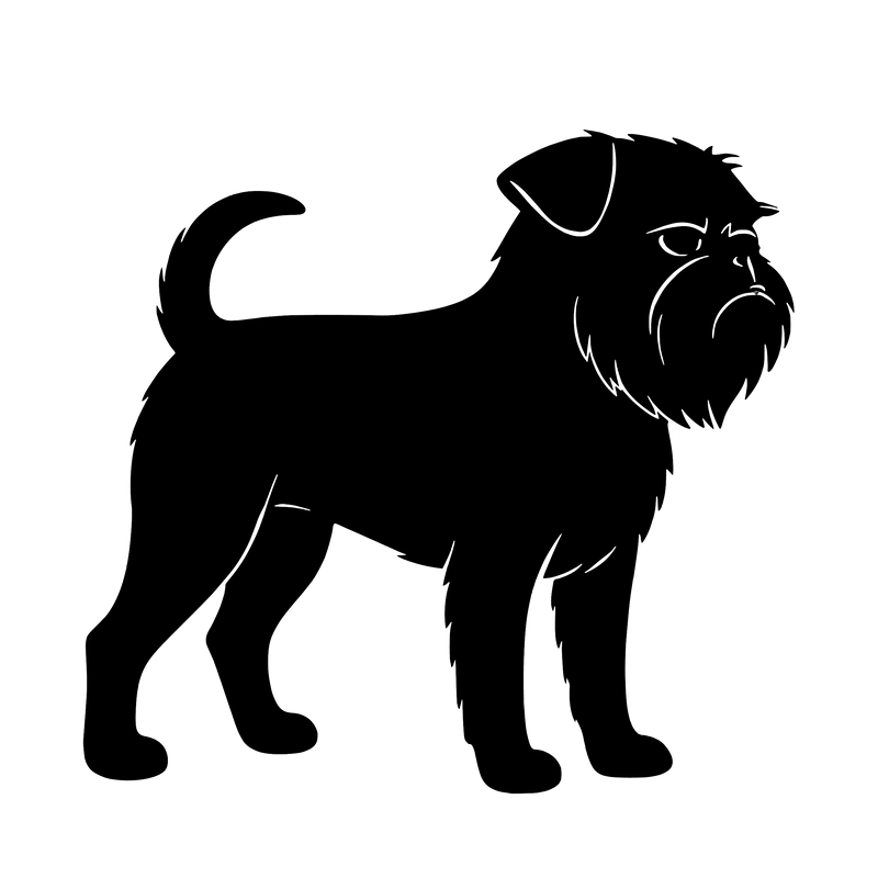 Brussels Griffon – Single Motif Sticker