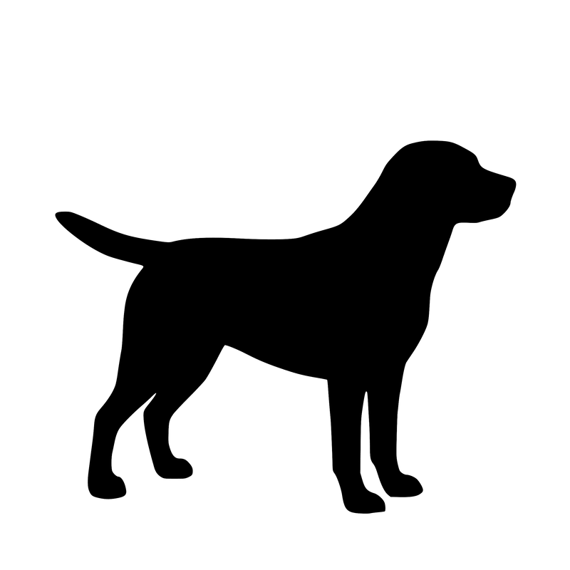 Labrador Retriever – Single Motif Sticker