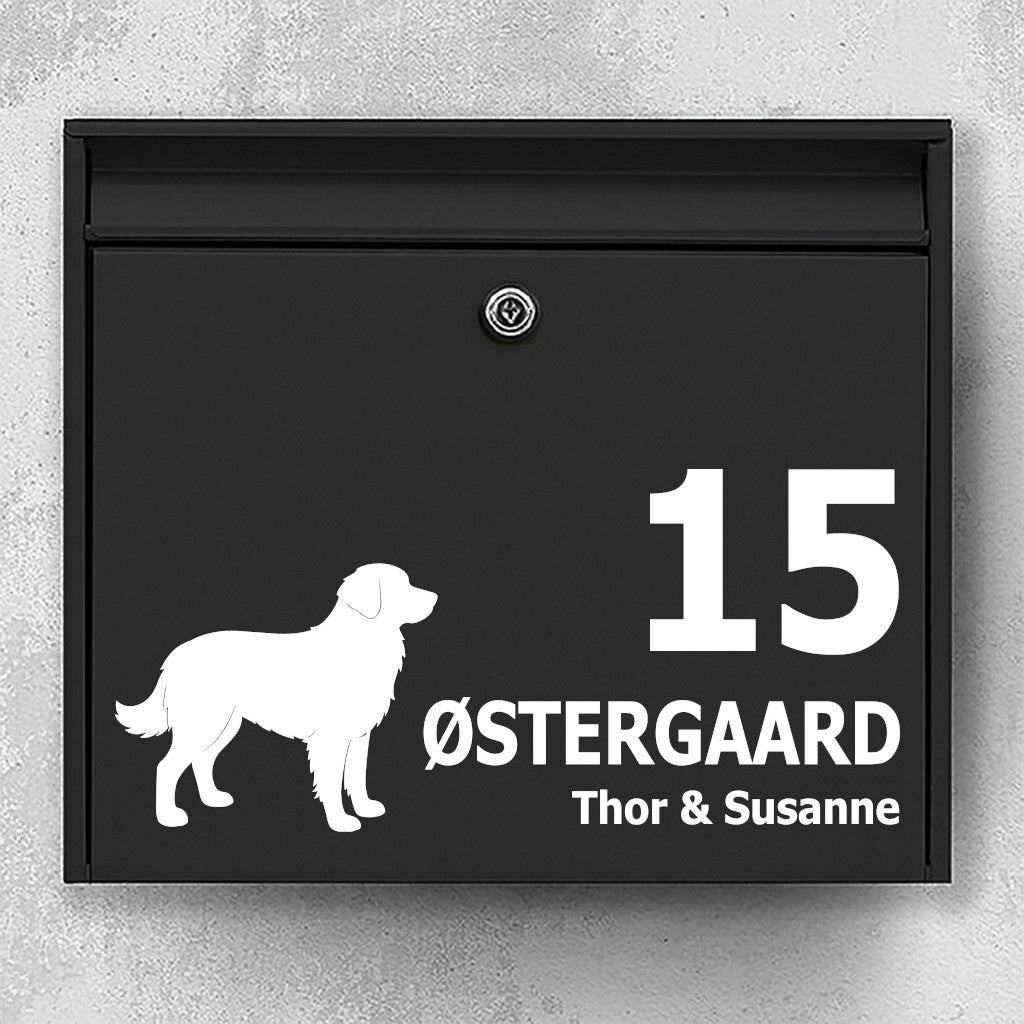Mailbox nameplate - dog motif: Nova Scotia Duck Tolling Retriever - customize text in clear typography, robust outdoor sticker
