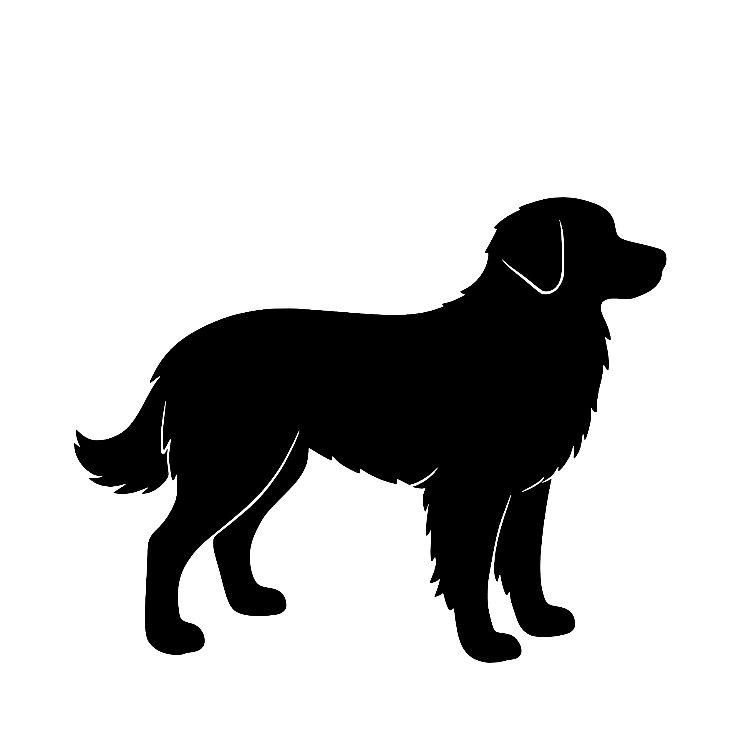 Nova Scotia Duck Tolling Retriever – Single Motif Sticker