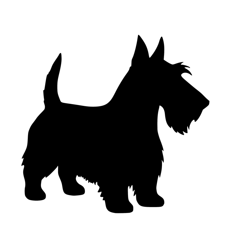 Scottish Terrier – Single Motif Sticker