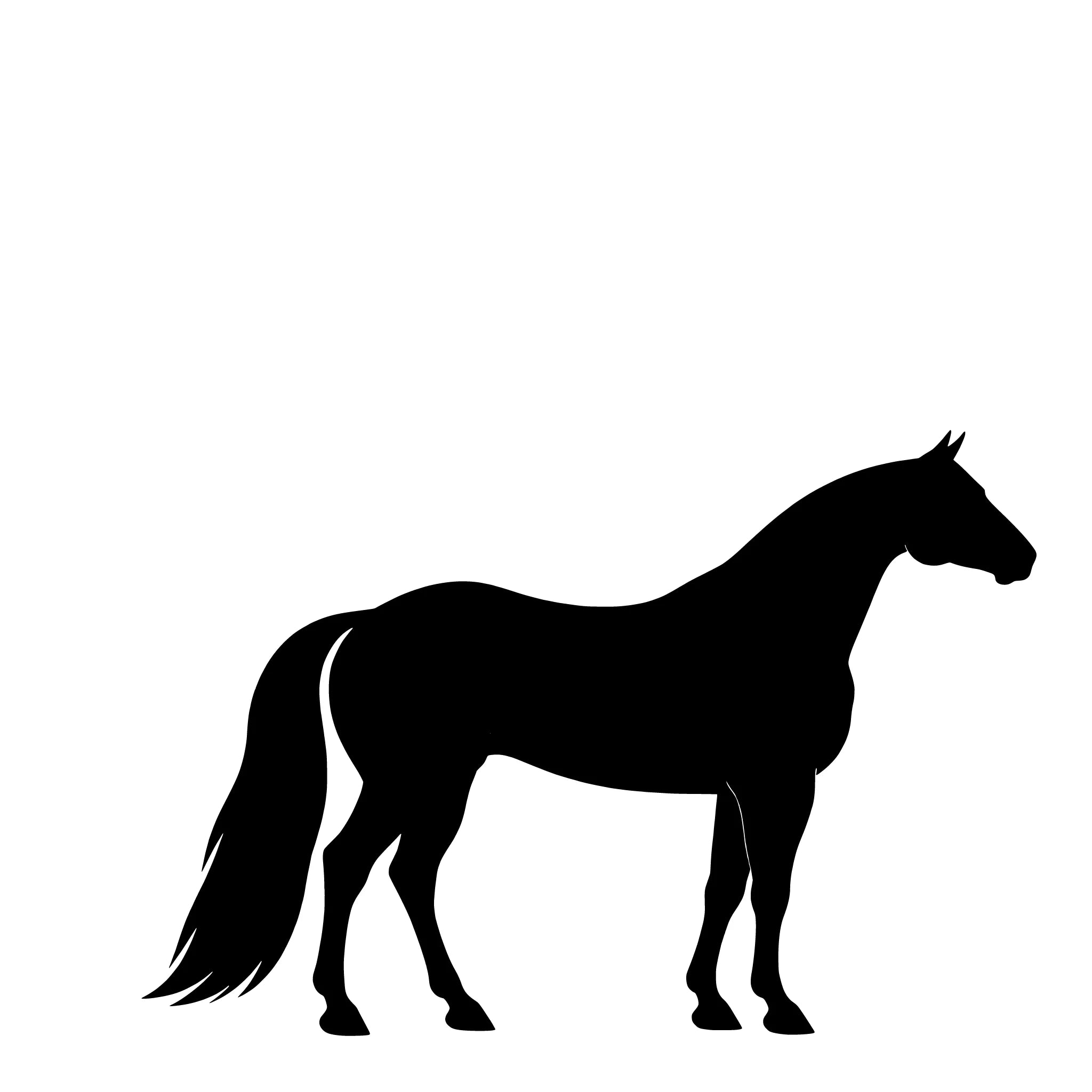 American Quarter Horse – Single Motif Sticker