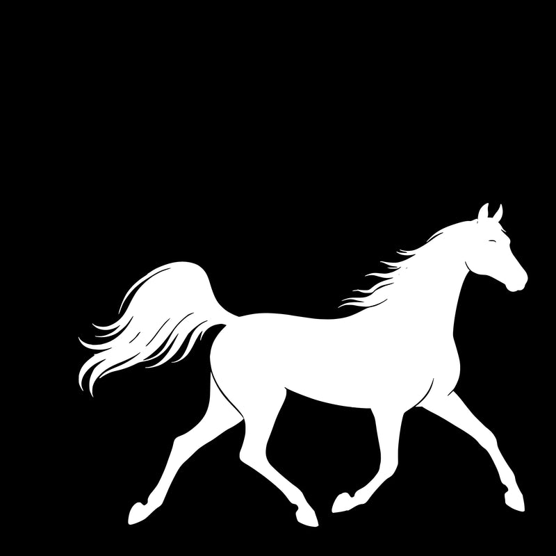 Arabian Horse – Single Motif Sticker
