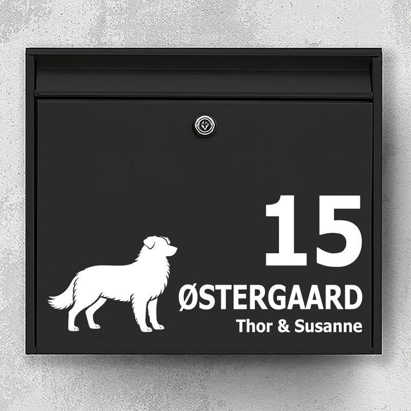 Mailbox sticker with Australian Shepherd