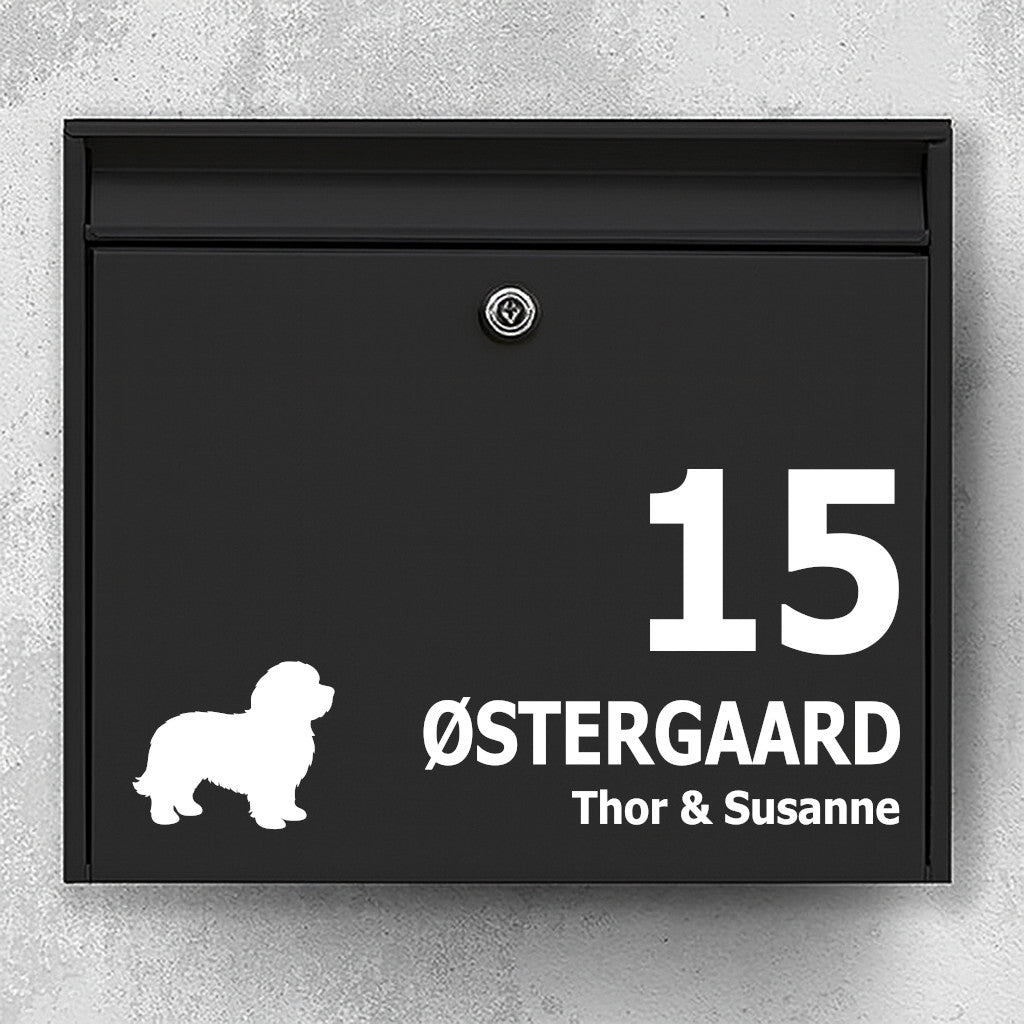 Mailbox sticker with a Coton de Tuléar dog - personalized name and house number solution - weatherproof vinyl