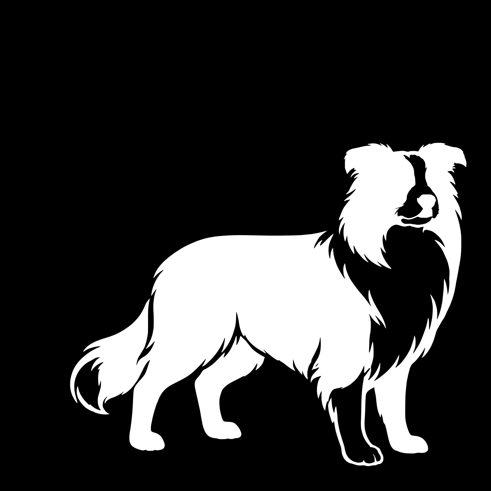  Border Collie – Single Motif Sticker