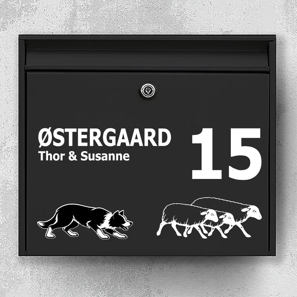 Mailbox sticker with Border Collie with Sheep