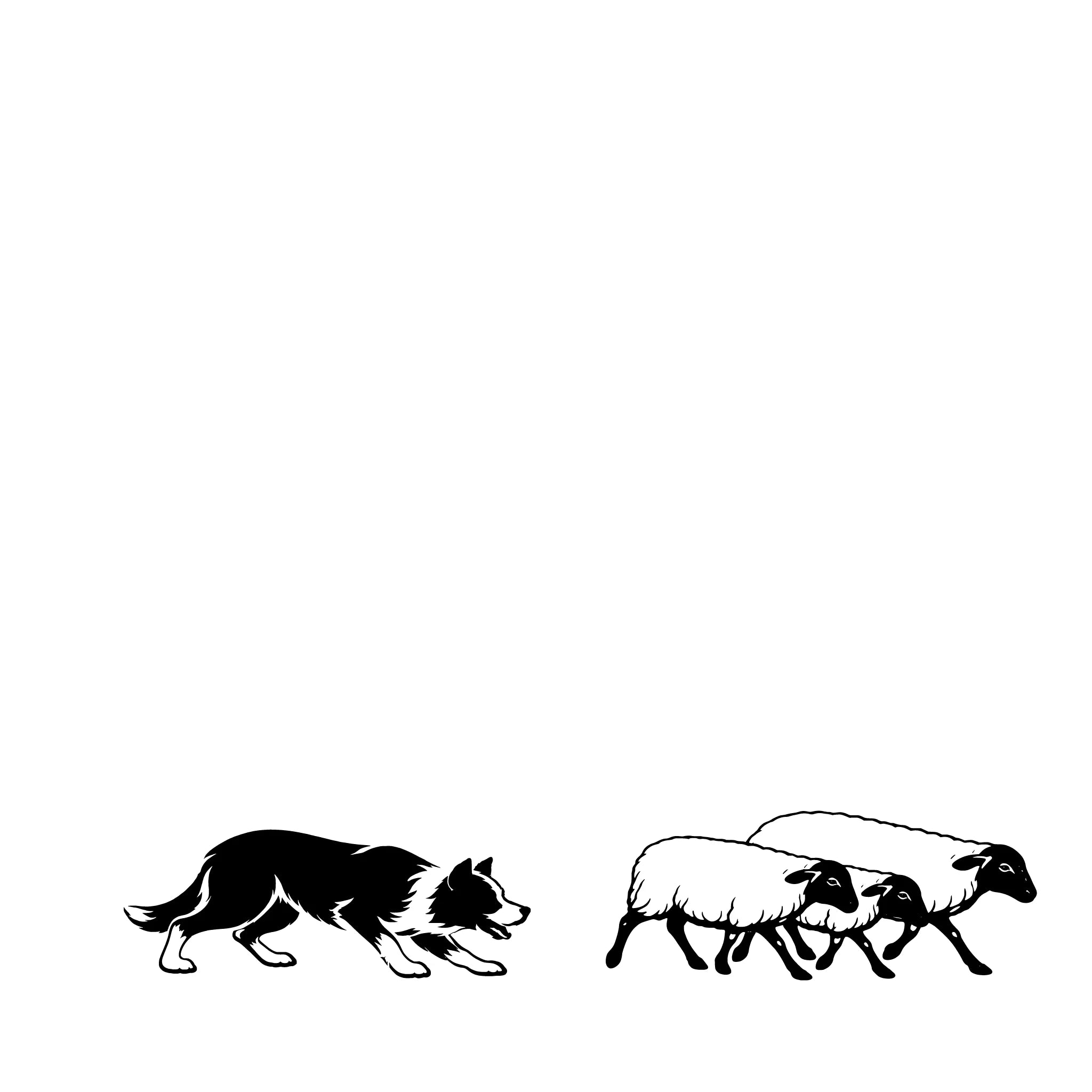 Border Collie Herding Sheep – Single Motif Sticker