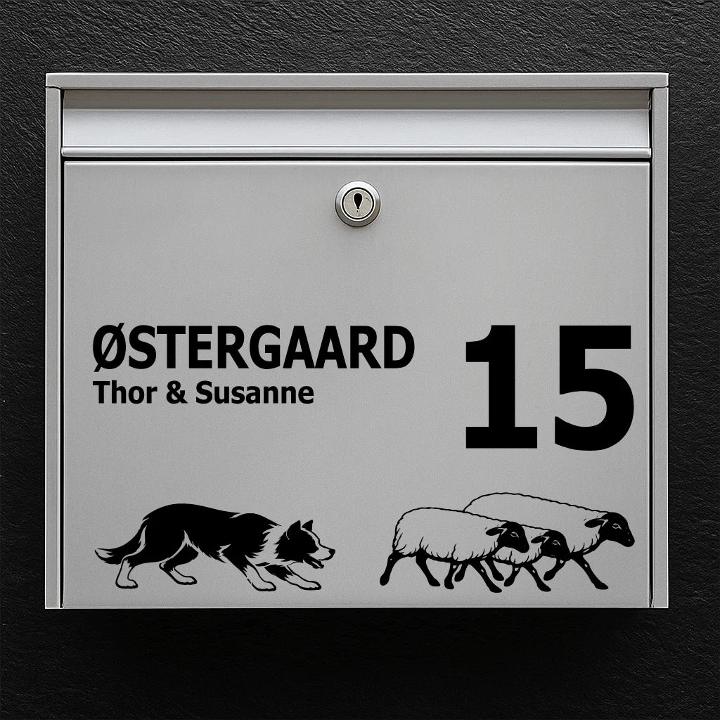 Mailbox sticker with Border Collie with Sheep