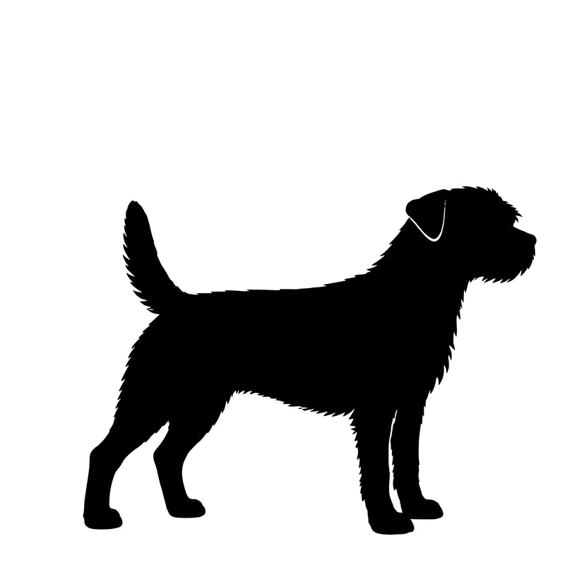 Border Terrier – Single Motif Sticker