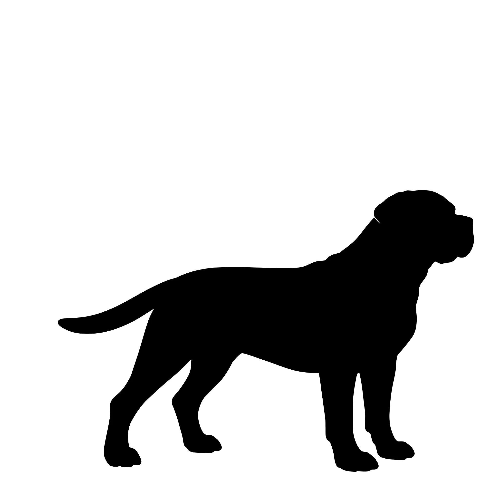 Cane Corso – Single Motif Sticker