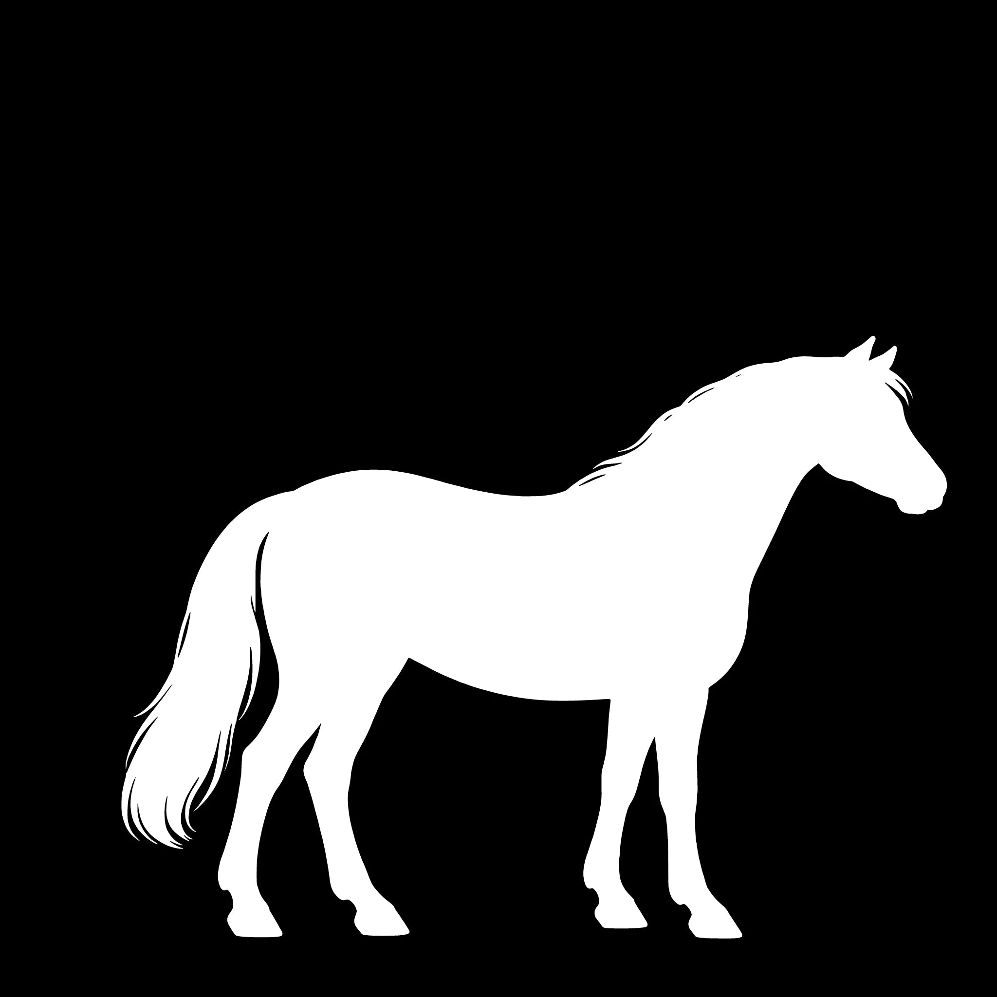Connemara Pony– Single Motif Sticker