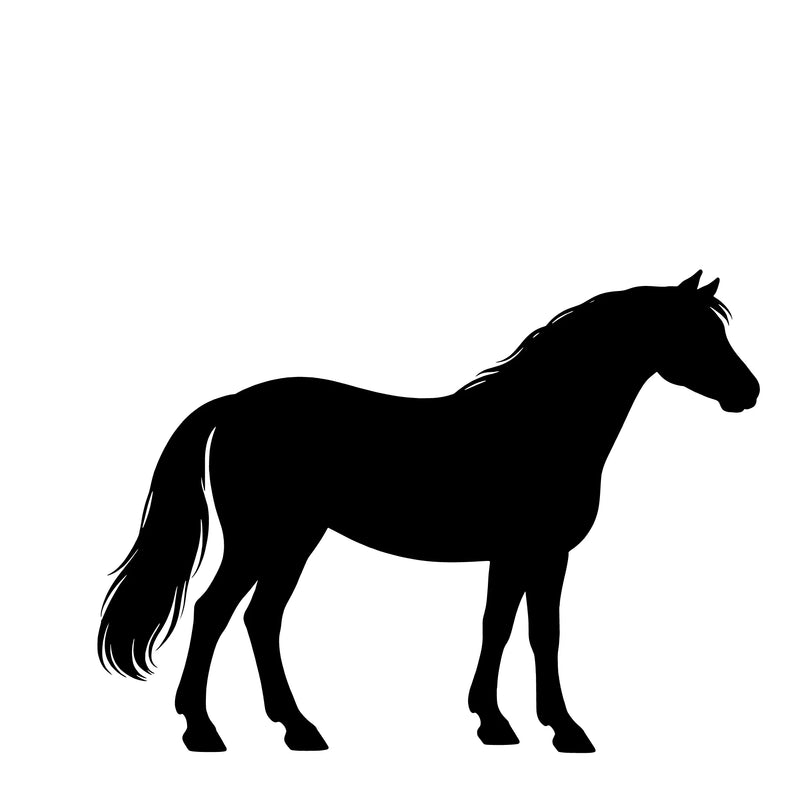 Connemara Pony– Single Motif Sticker