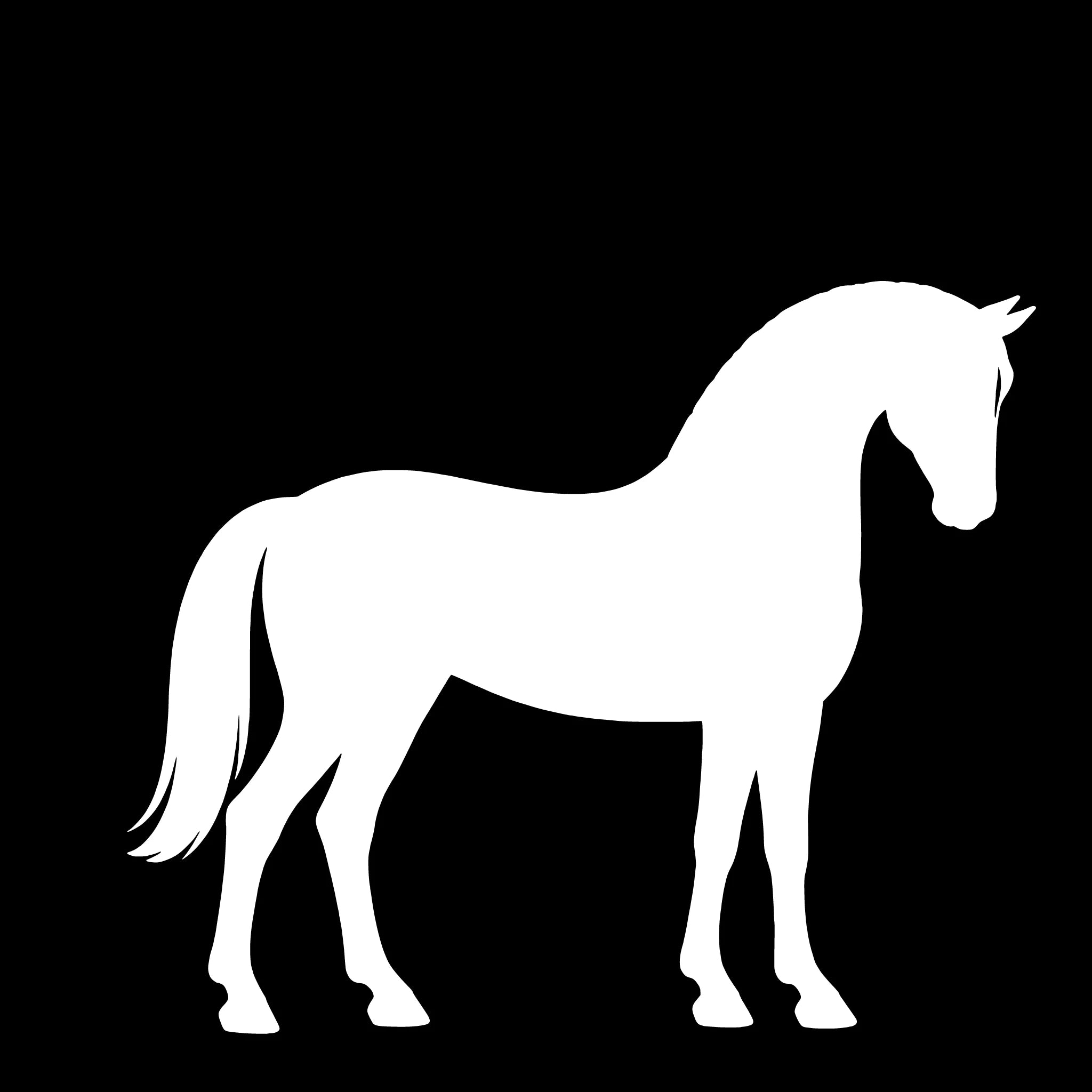Danish Sports Pony – Single Motif Sticker