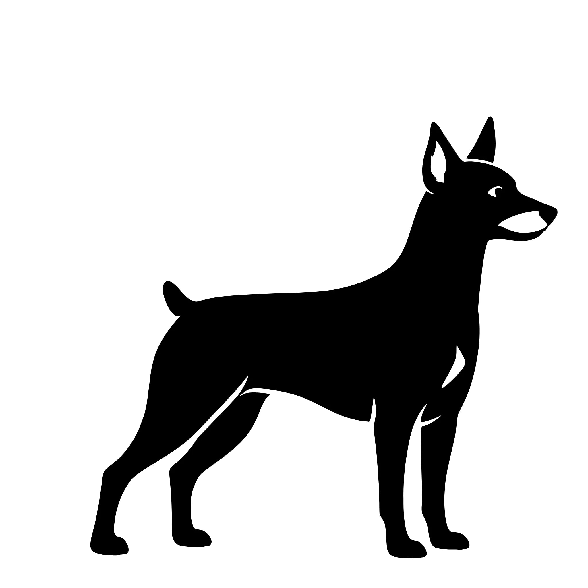 Miniature Pinscher – Single Motif Sticker