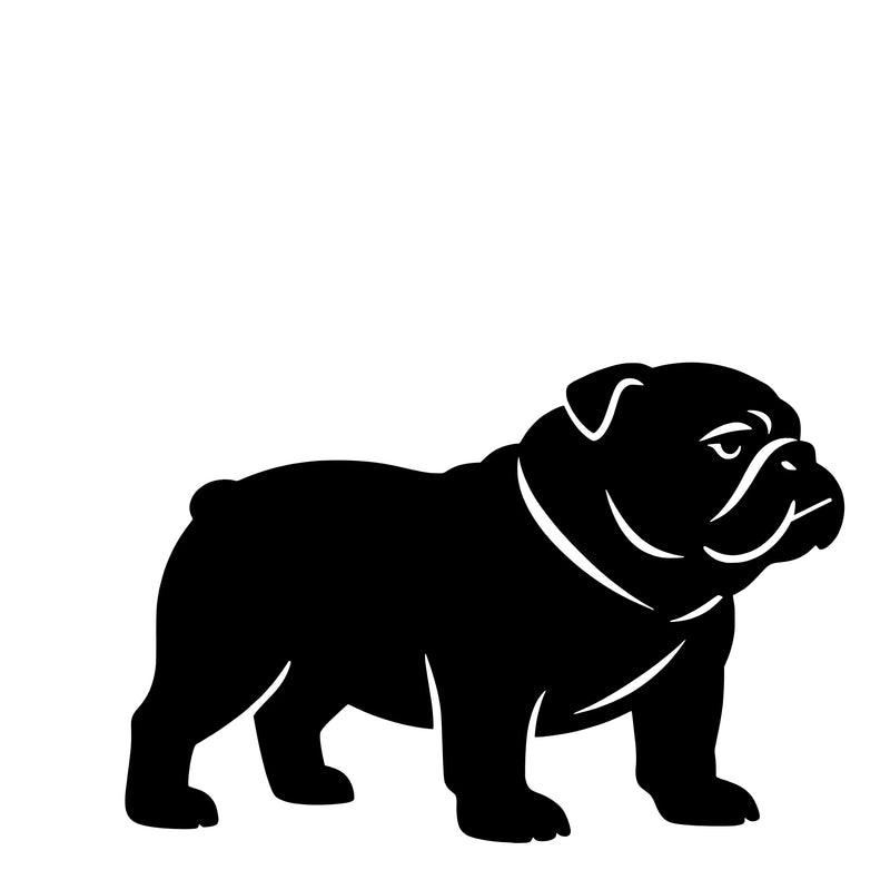 English Bulldog – Single Motif Sticker