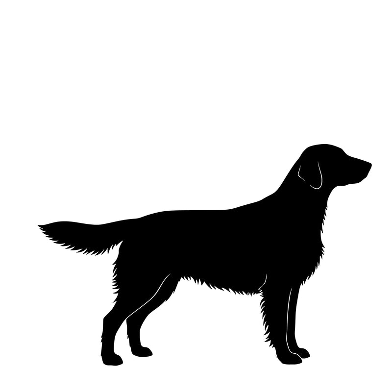 Flat Coated Retriever– Single Motif Sticker