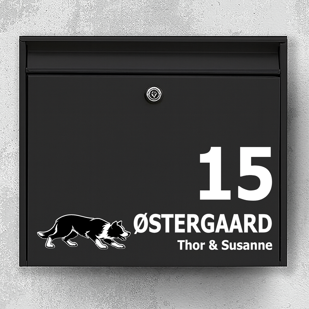 Mailbox sticker with Short-Haired Border Collie (herding stance)