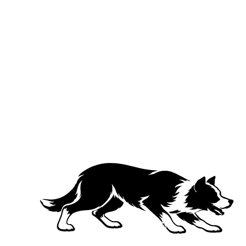 Smooth-Coated Border Collie – Single Motif Sticker
