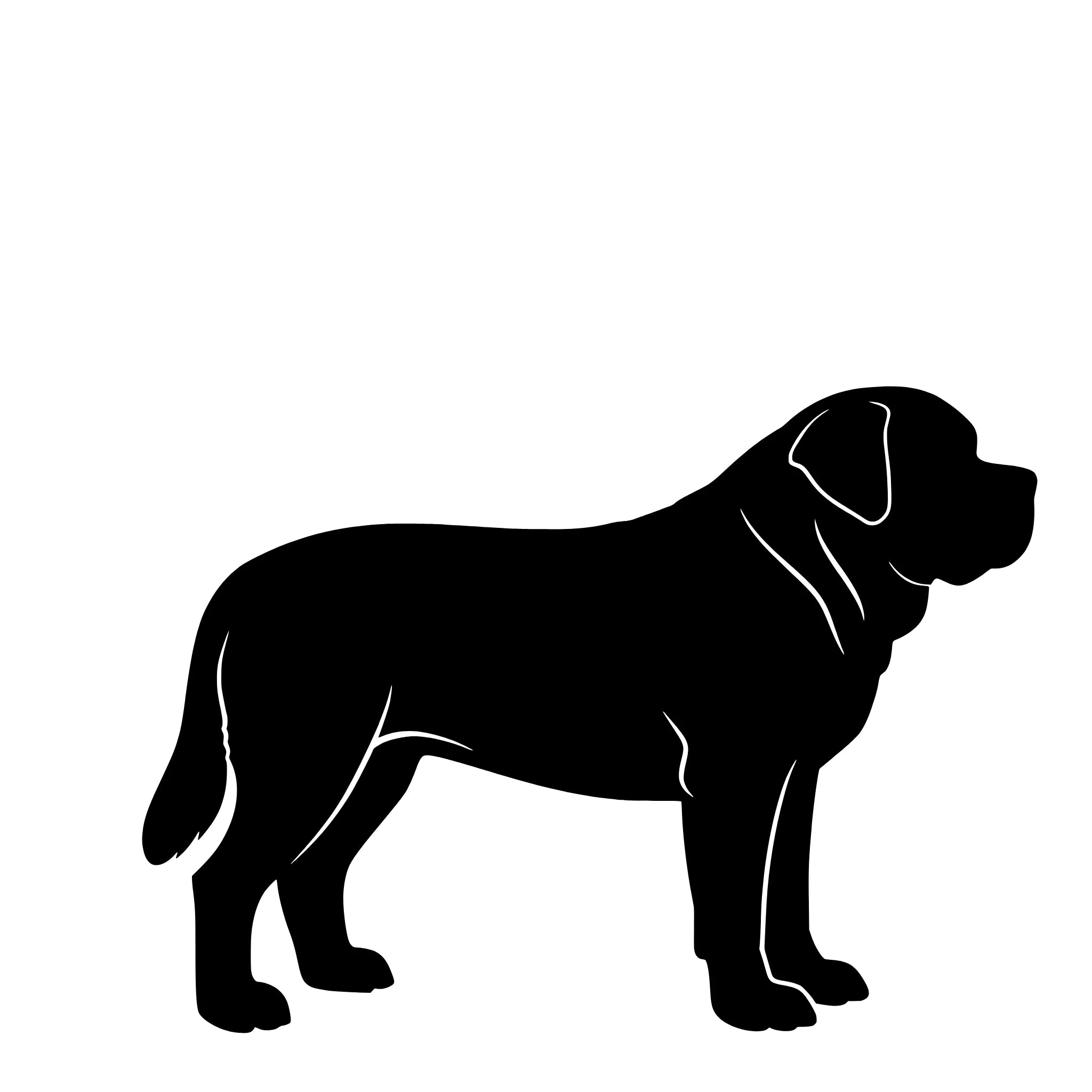 Short-Haired Saint Bernard – Single Motif Sticker