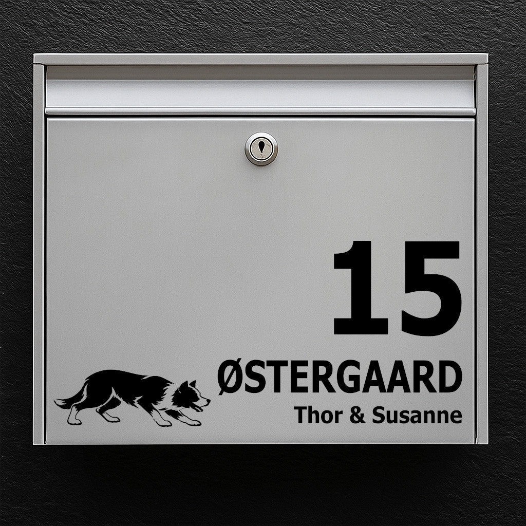 Mailbox sticker with Short-Haired Border Collie (herding stance)
