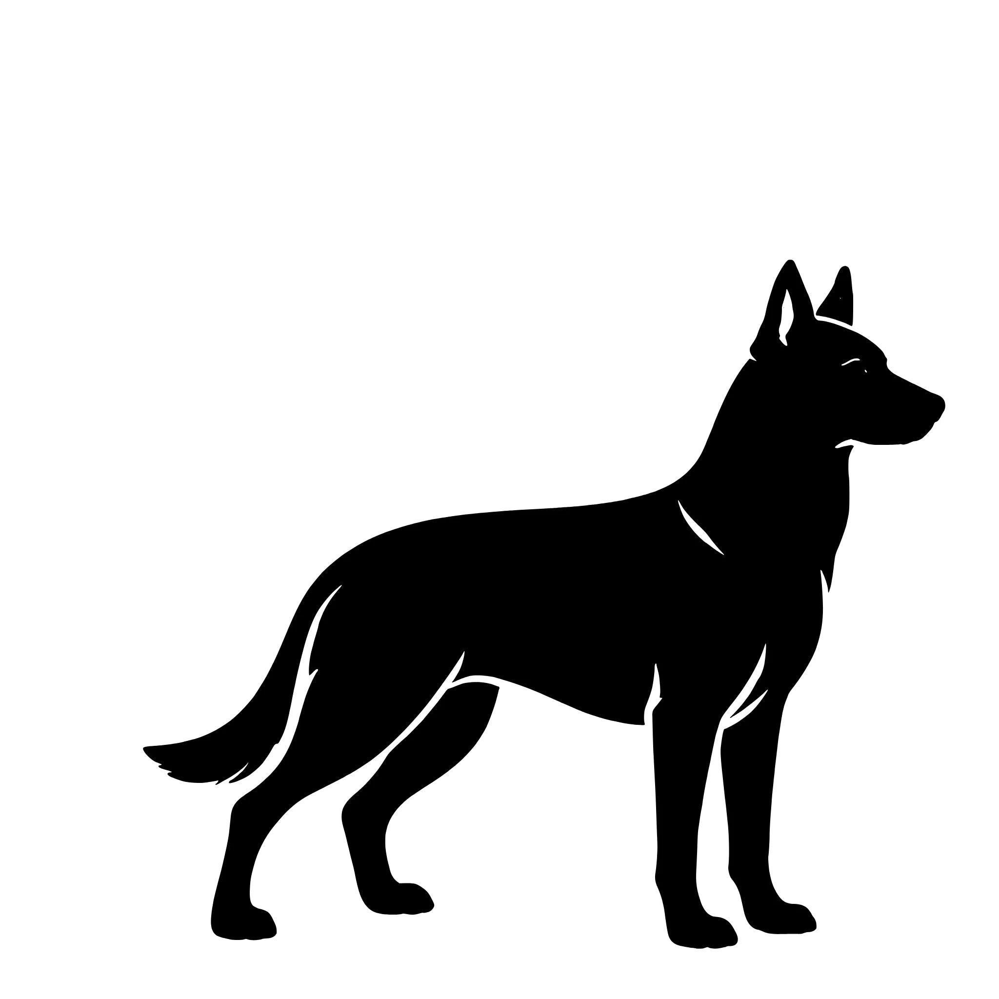 Malinois – Single Motif Sticker
