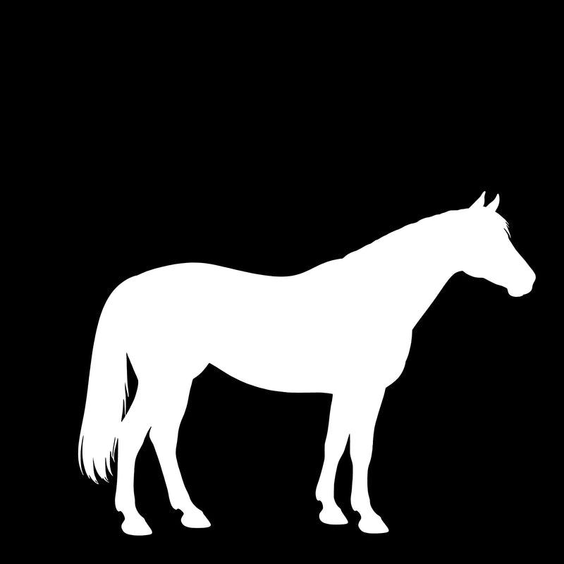 Pinto – Single Motif Sticker