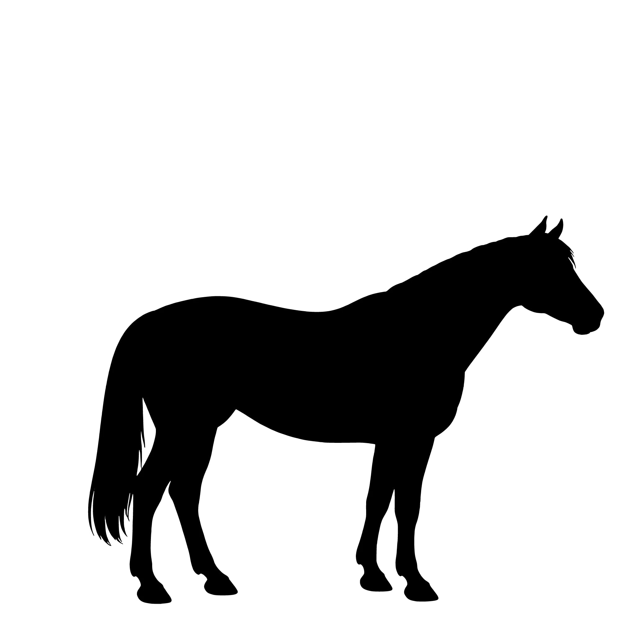 Pinto – Single Motif Sticker