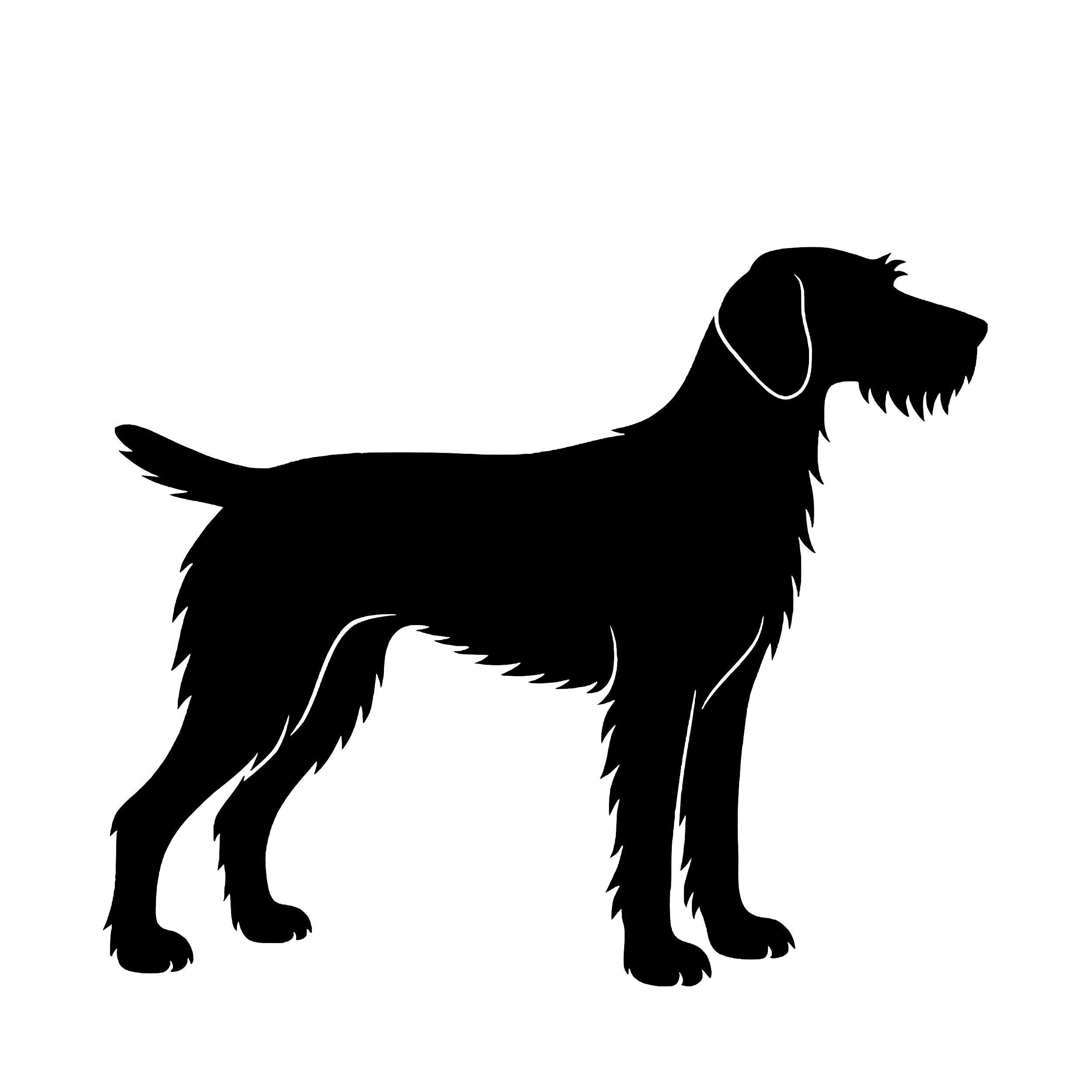 Wirehaired Pointing Dog – Single Motif Sticker