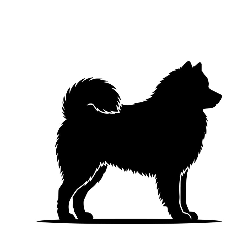 Samoyed – Single Motif Sticker