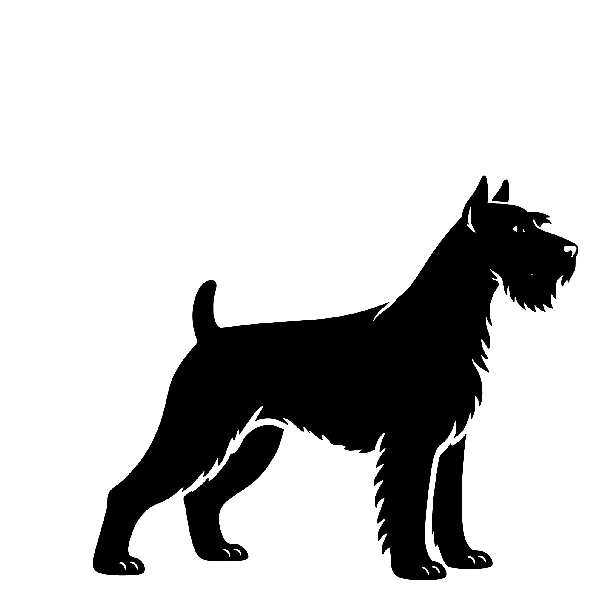  Schnauzer – Single Motif Sticker