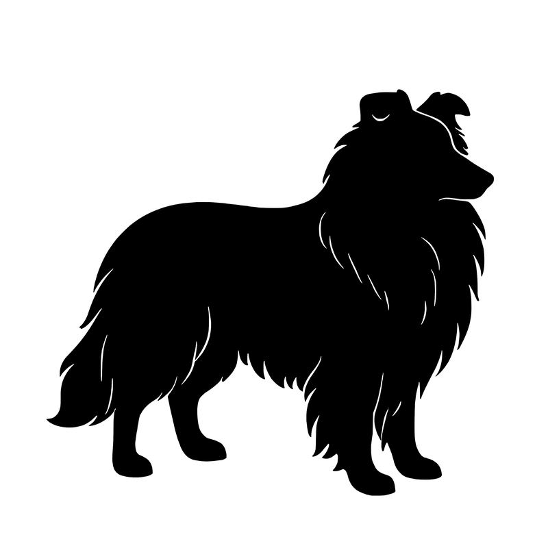 Shetland Sheepdog – Single Motif Sticker