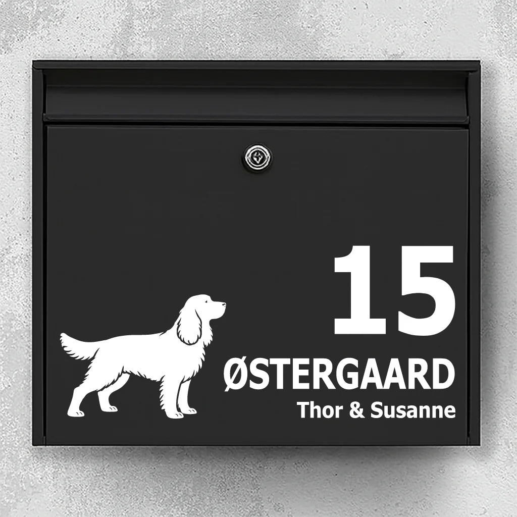 Mailbox sticker with Springer spaniel