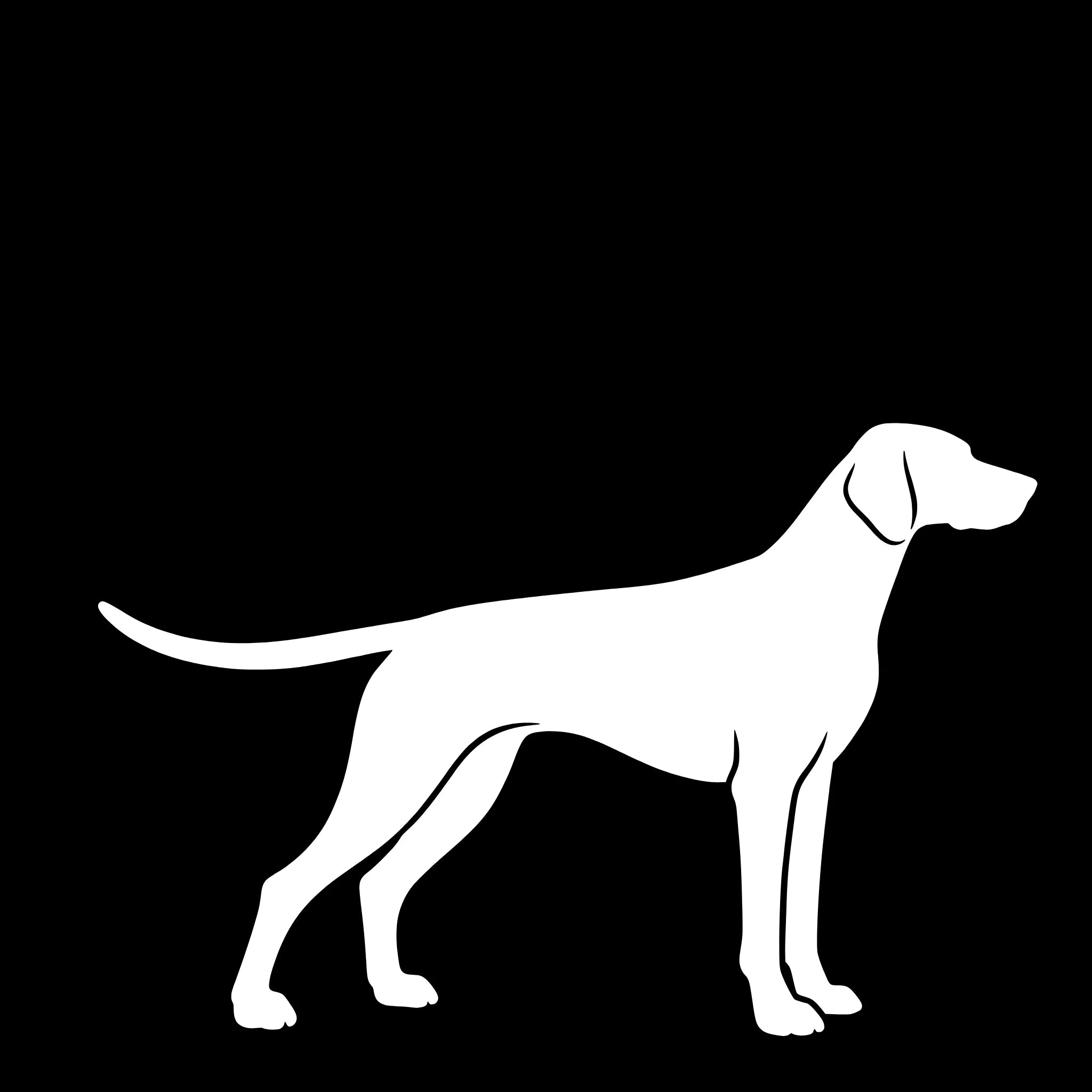 German Shorthaired Pointer – Single Motif Sticker